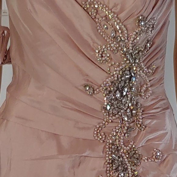 NWT Feriani Mermaid Style Formal Gown in Mauve - Picture 6 of 6